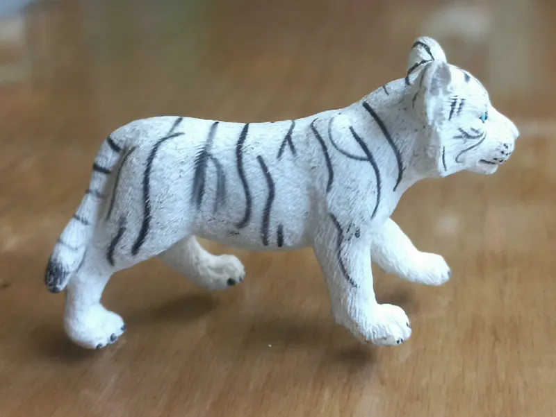 بچه ببر موجو