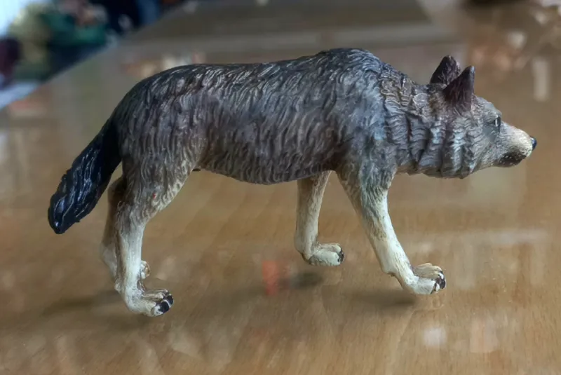 فیگور گرگ کالکتا