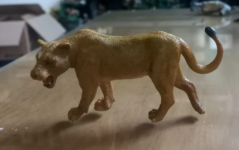 شیر ماده کالکتا