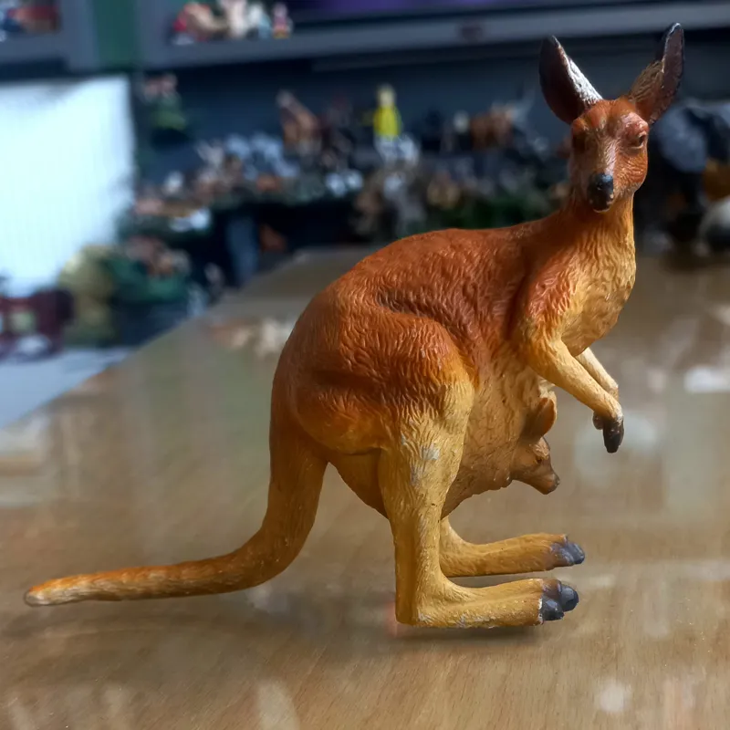 فیگور کانگورو کالکتا