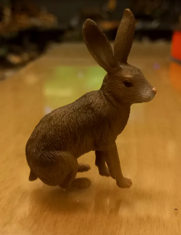 فیگور خرگوش کالکتا