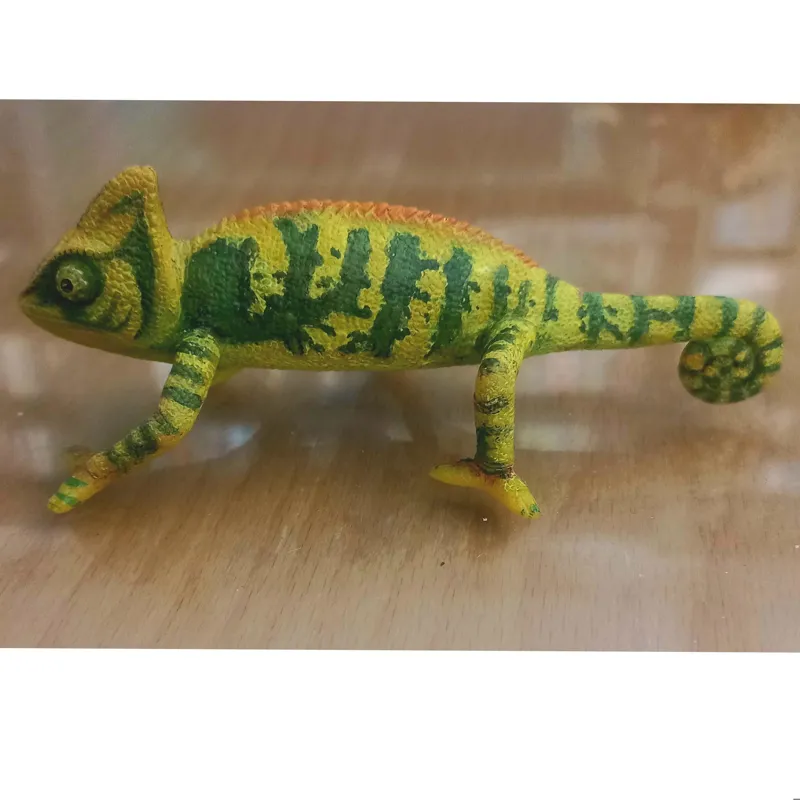 آفتاب پرست موجو کار کرده