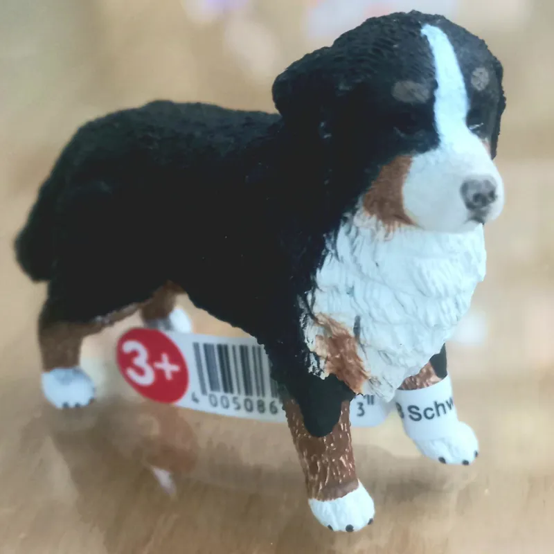 فیگور سگ اشلاش