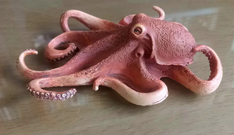 هشت پا موجو استفاده شده