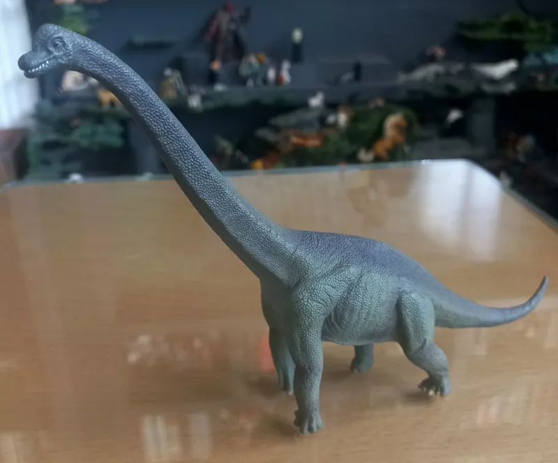 فیگور بروکیوسور کالکتا