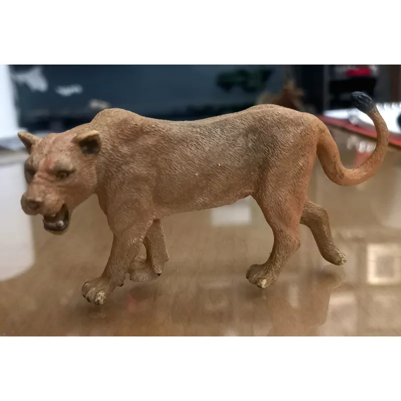 شیر ماده کالکتا