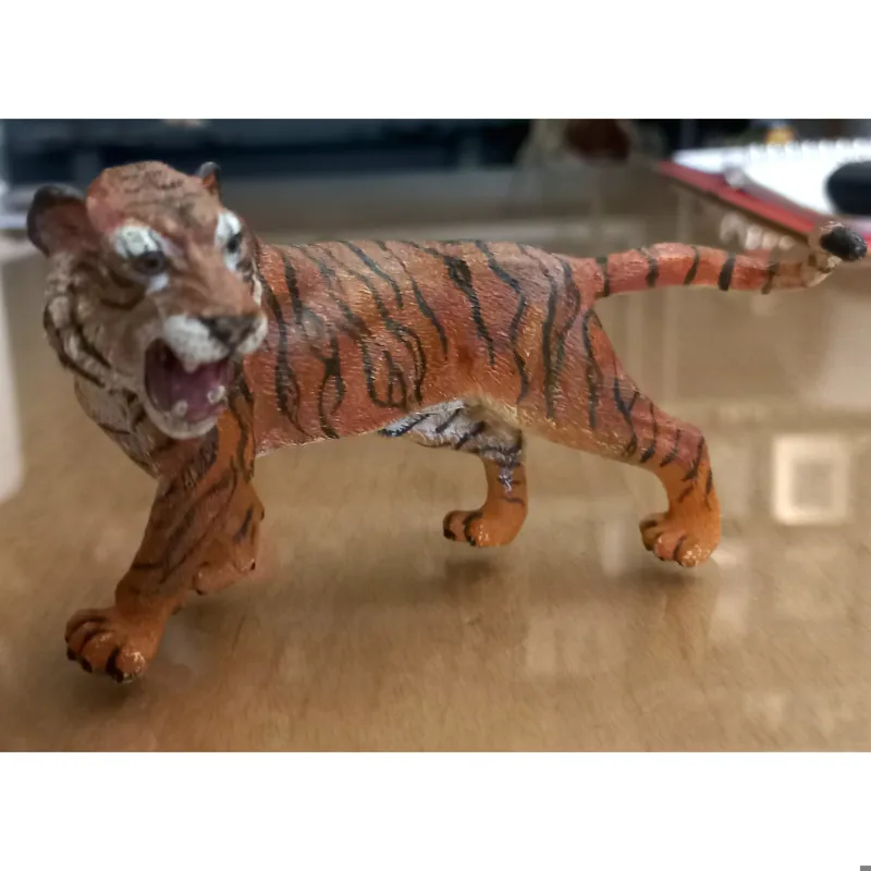 فیگور ببر کالکتا