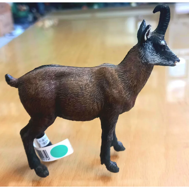 بز کوهی اروپایی پاپو