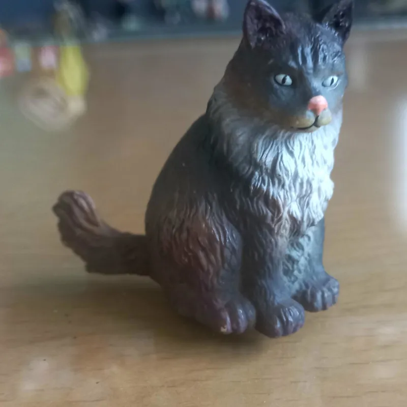 گربه نروژی کالکتا