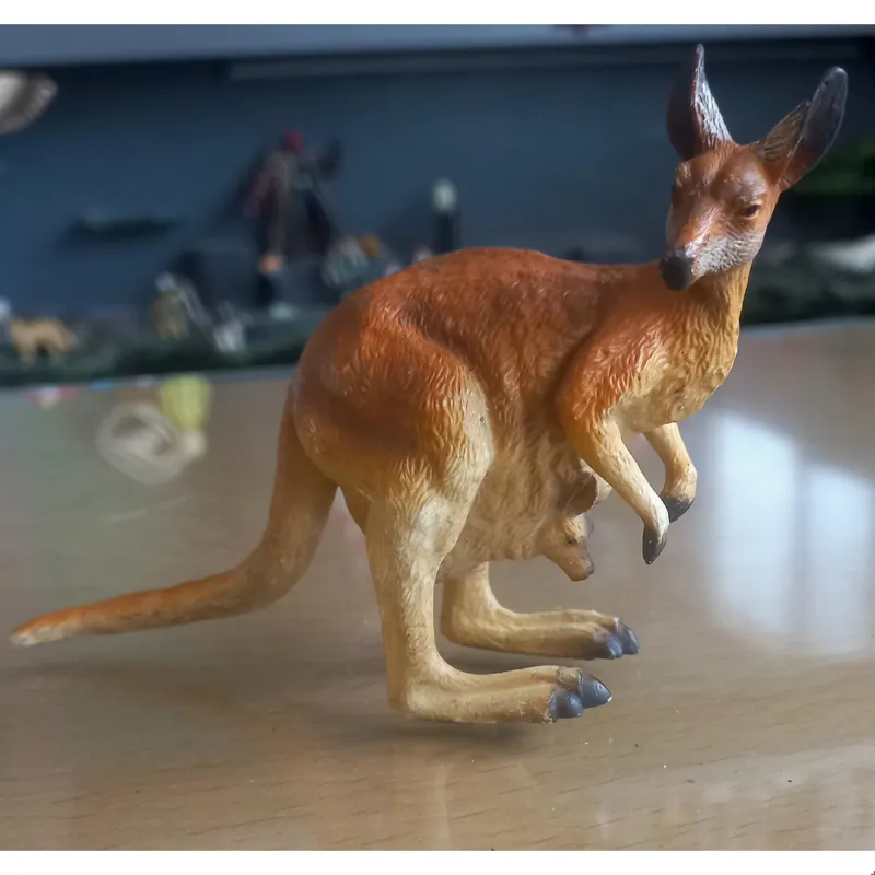 فیگور کانگورو کالکتا