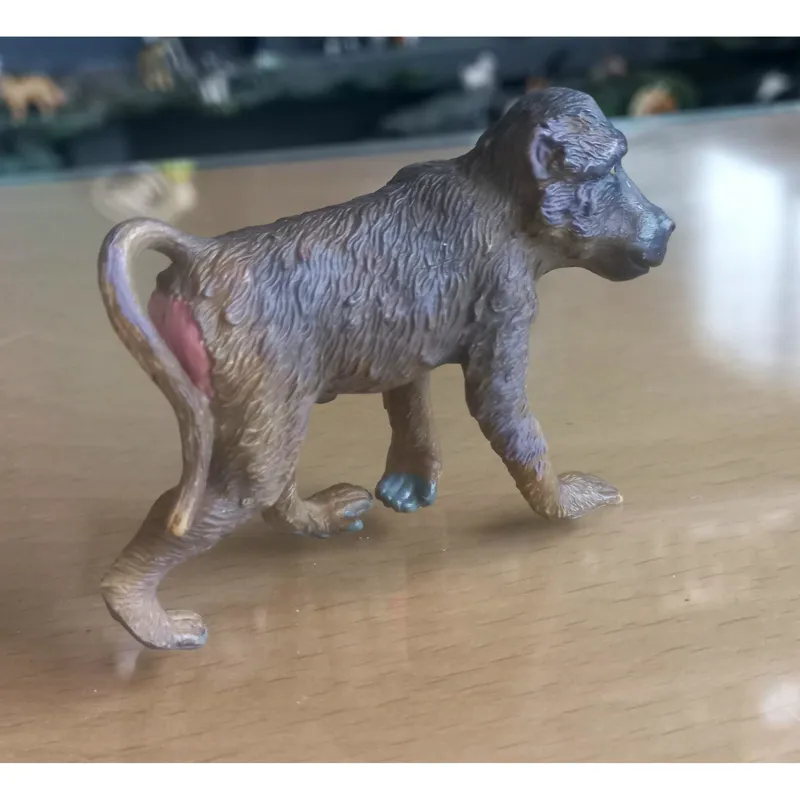 بابون نر کالکتا