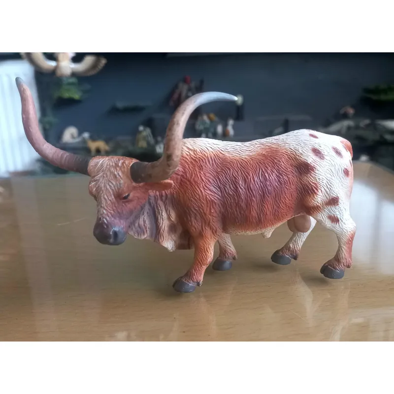 گاو تگزاس کالکتا