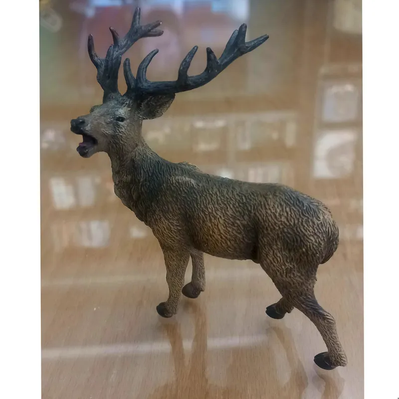 گوزن قرمز نر کالکتا