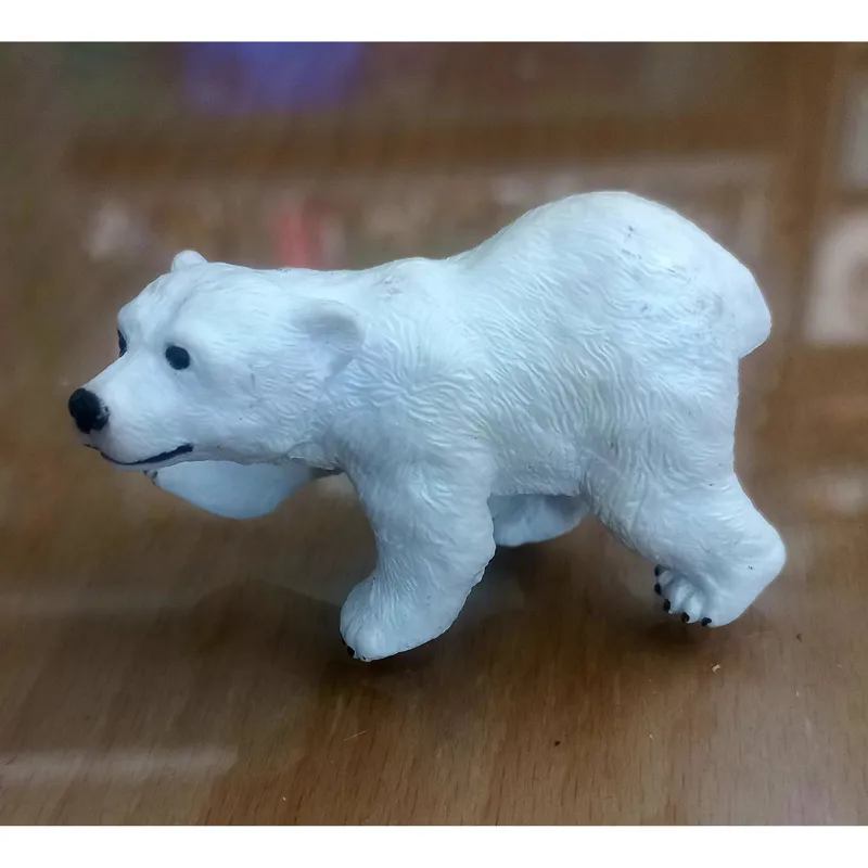 بچه خرس قطبی کالکتا