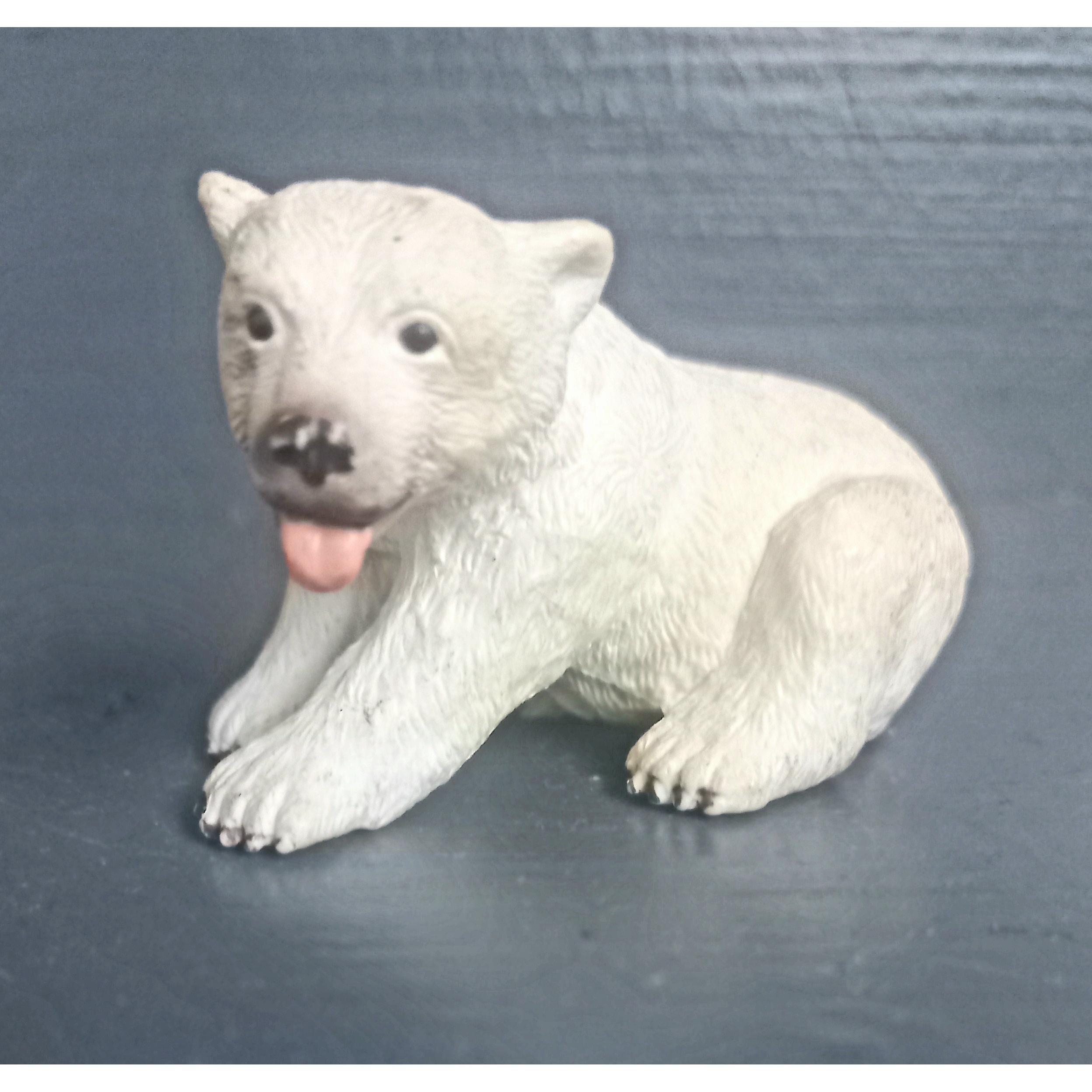 بچه خرس قطبی کالکتا