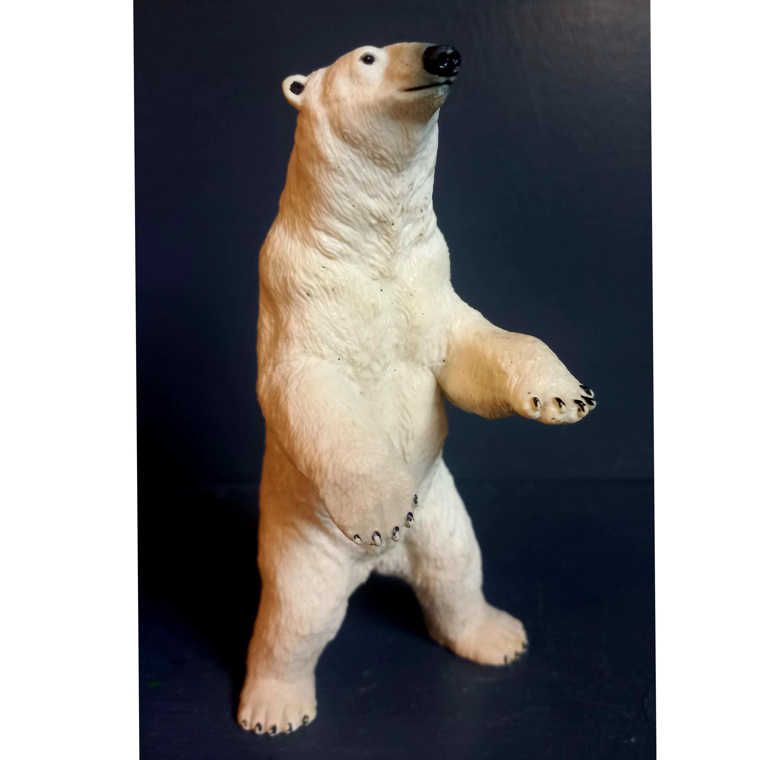 خرس قطبی پاپو