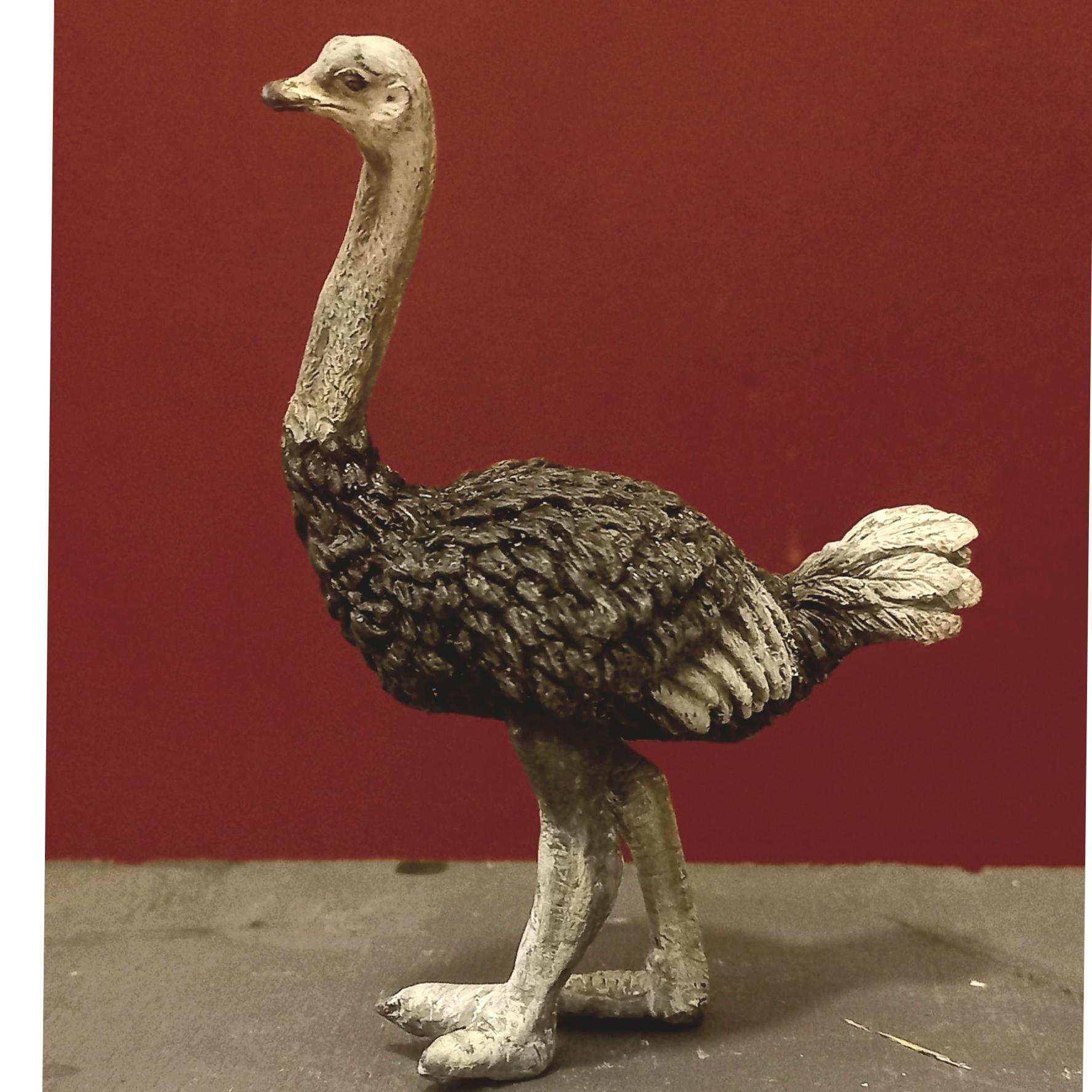 شتر مرغ کالکتا پاش ترمیم شده