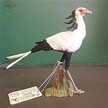 مرغ