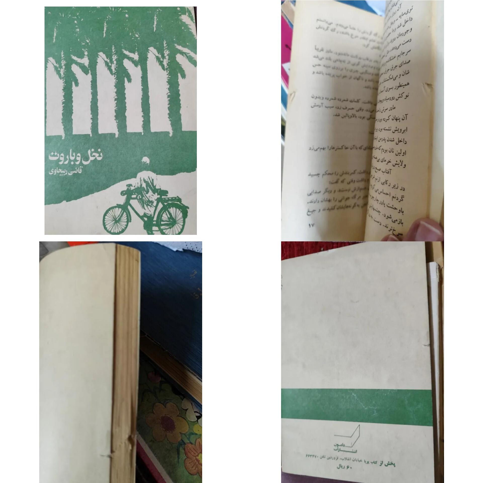 نخل و باروت قاضی ربیحاوی