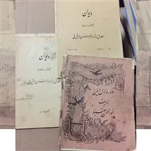 ویولن