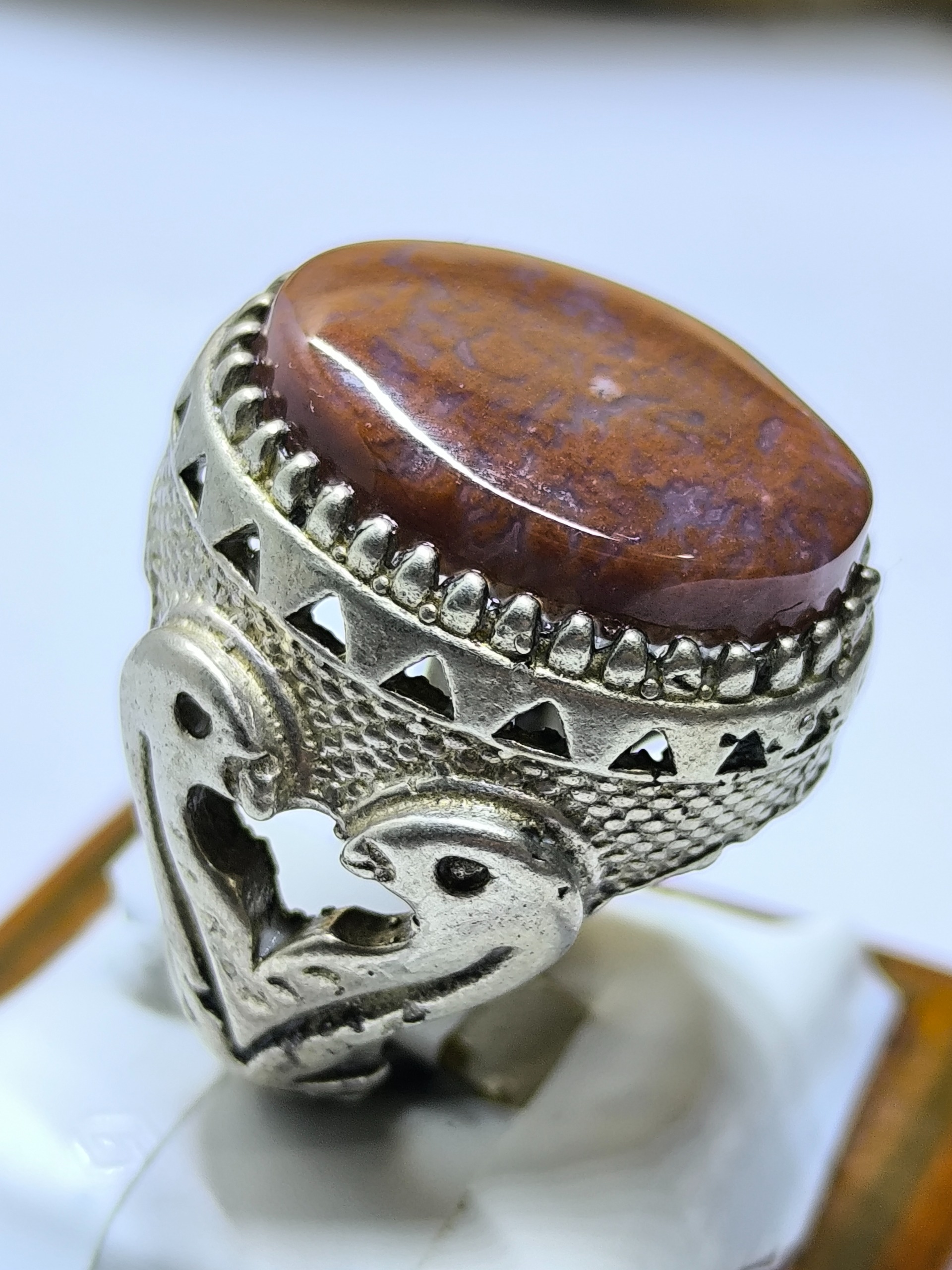 انگشترفوقالعاده زیبا و زینتی شجر بوته ای مغربی