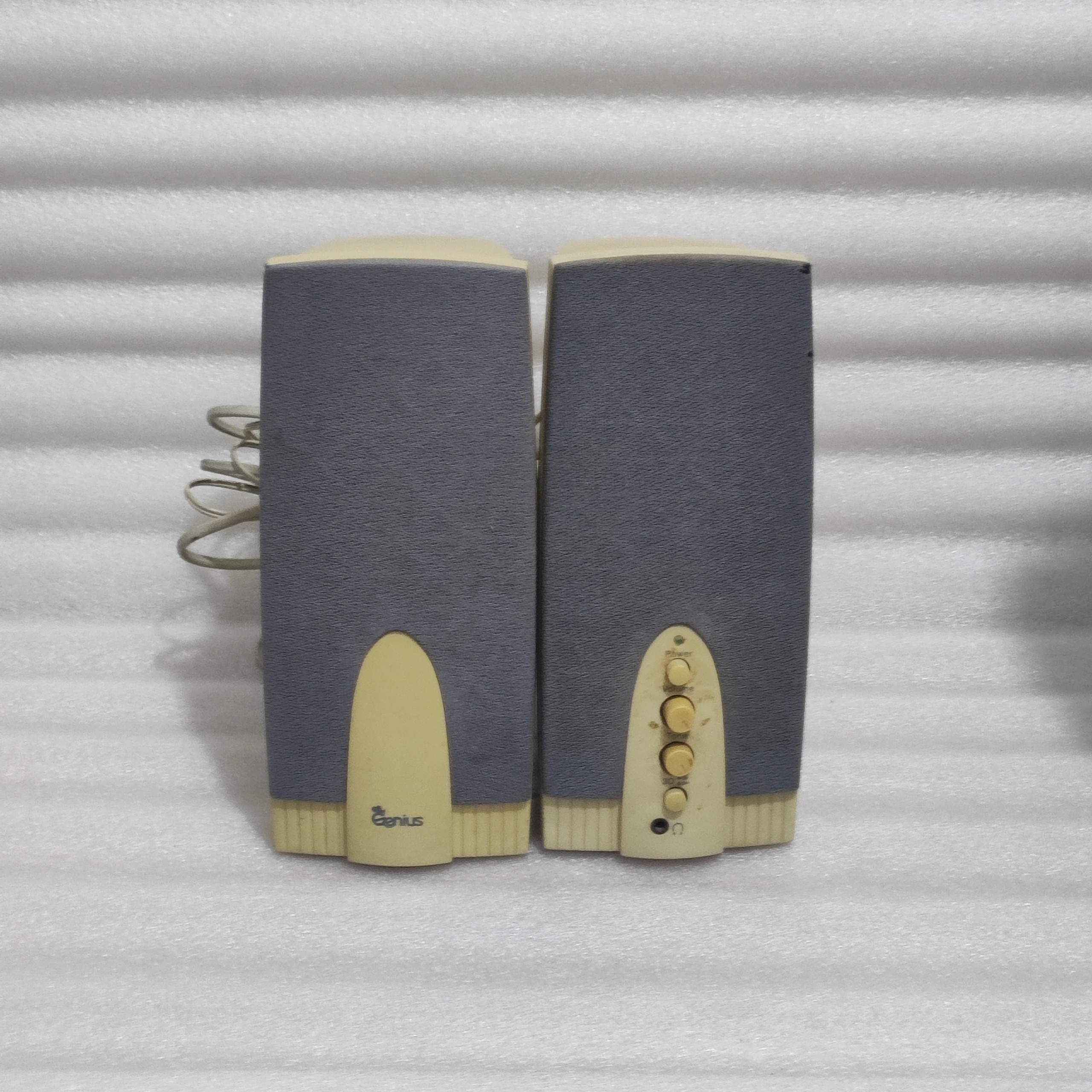 اسپیکر اقتصادی Genius