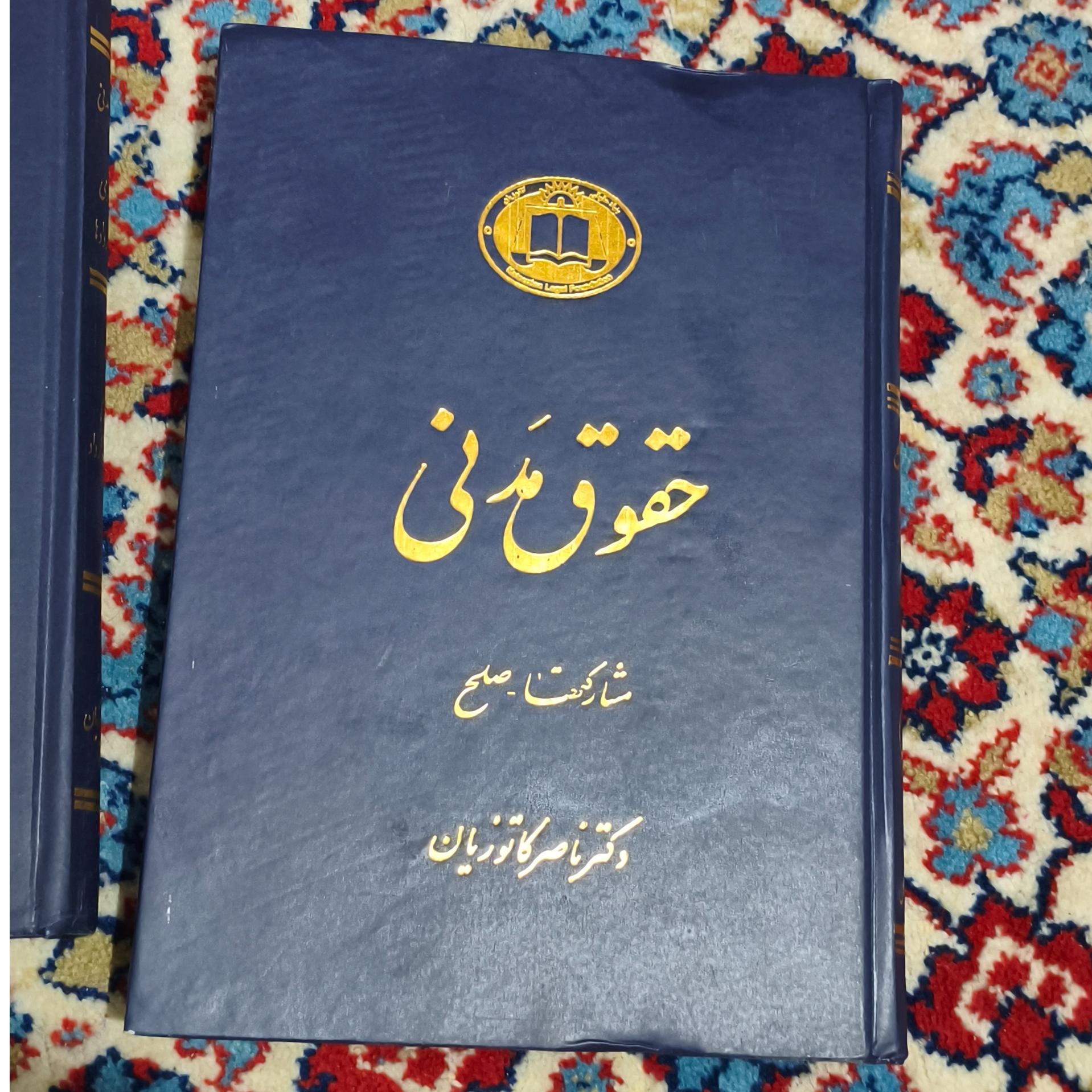 کتاب حقوق مدنی مشارکتها صلح