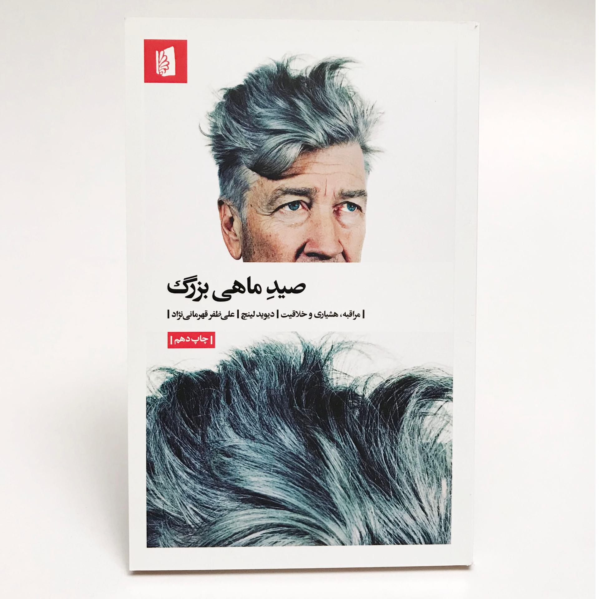 کتاب صید ماهی بزرگ اثر دیوید لینچ نشر بیدگل