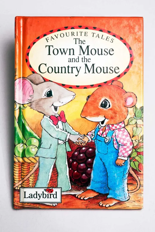 کتاب موش شهری و روستایی(..The Town)-اورجینال