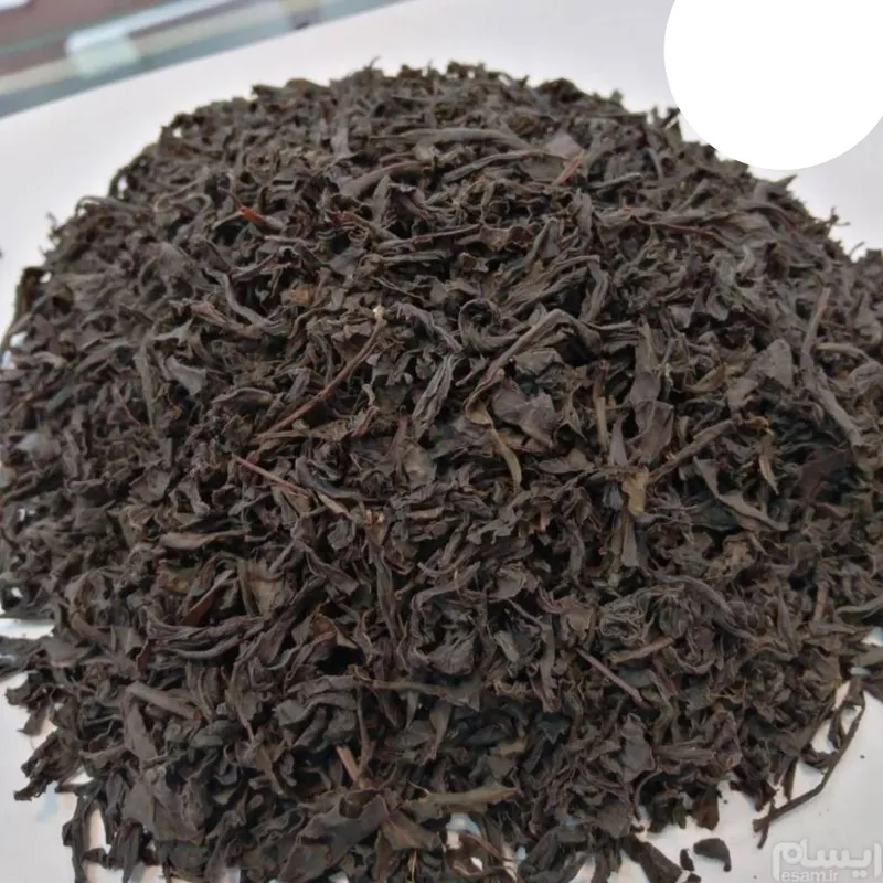 چای قلم درجه 1 بهاره لاهیجان (یک کیلویی) دامون