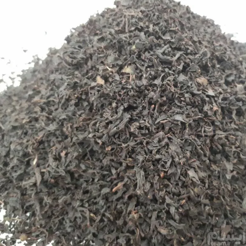 چای سرگل ممتاز بهاره لاهیجان (500 گرمی) دامون