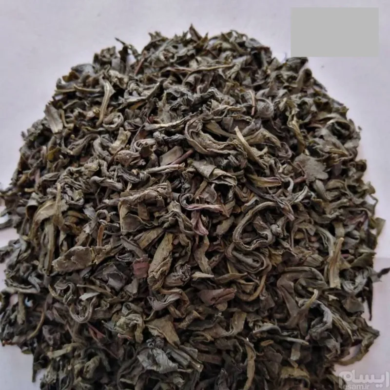 چای ایرانی چای سبز لاهیجان (1000 گرمی) دامون