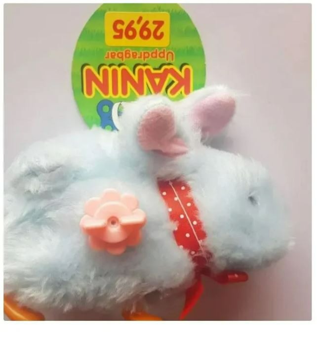 خرگوش کوکی آبی رنگ دانمارکی