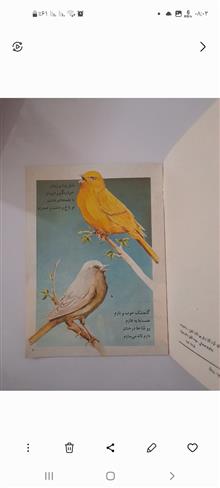 حیوانات