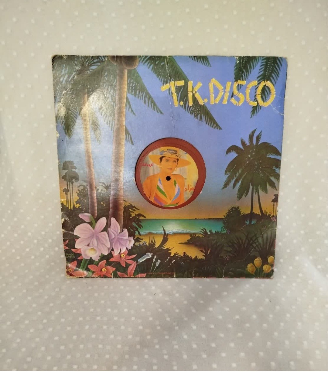 صفحه بزرگ .t.k.disco