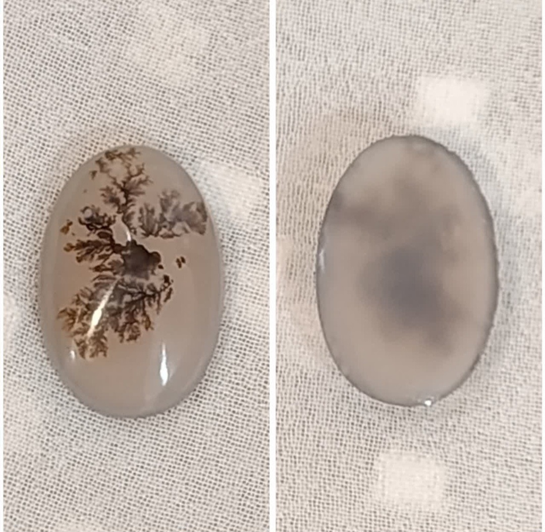 سنگ زیبای شجر اصل