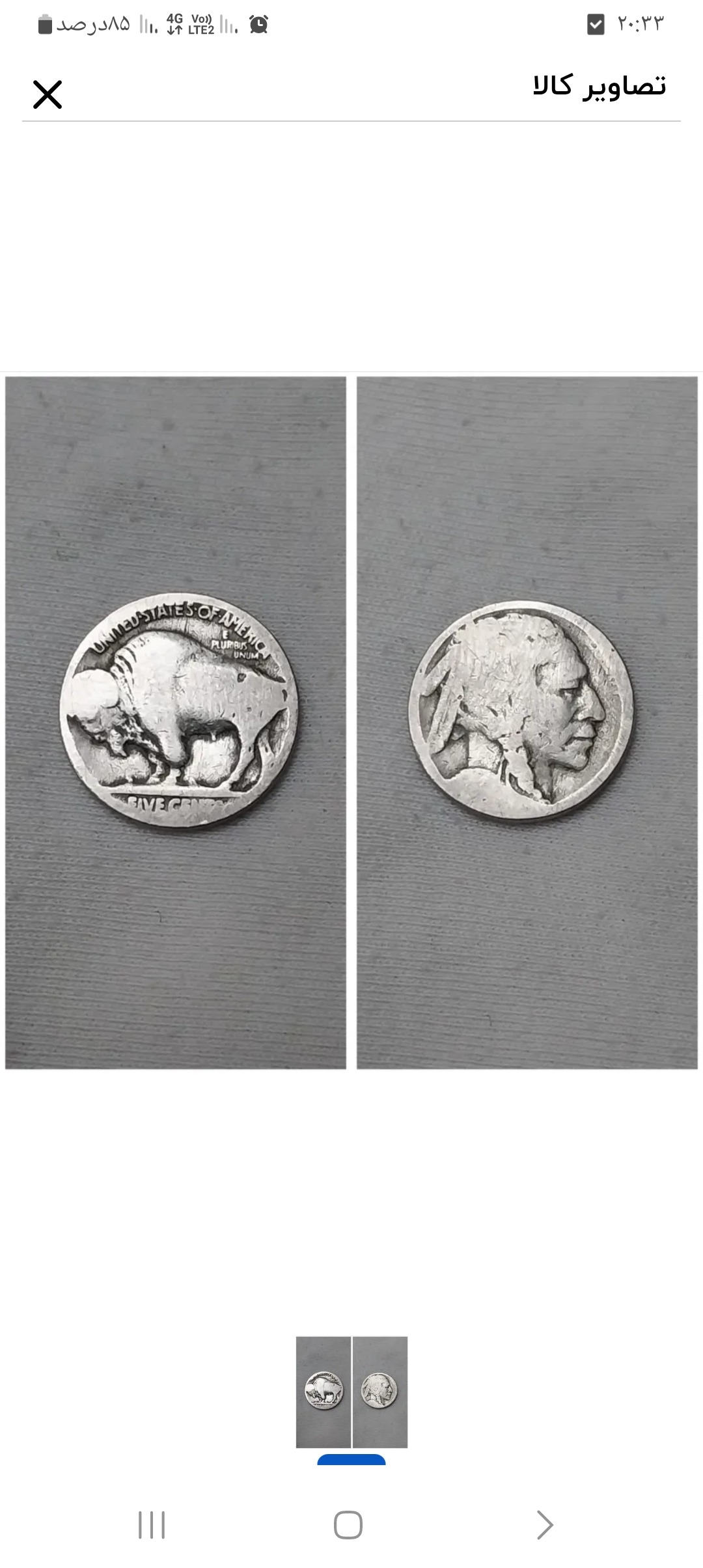 سکه 5 سنتی بوفالو