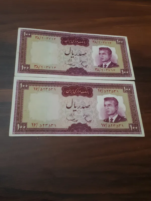 100ریالی، هویدا وسمیعی