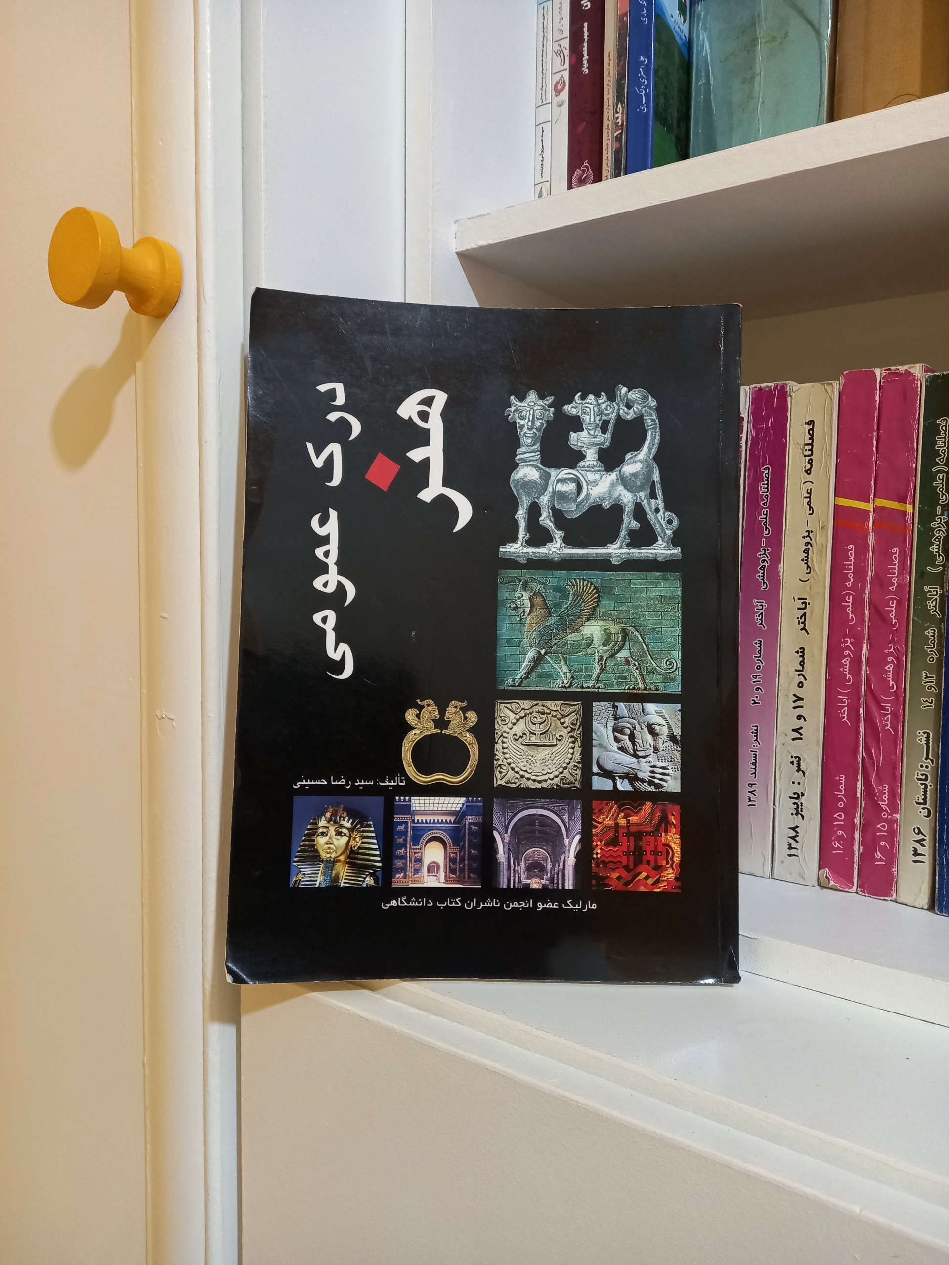 درک عمومی هنر (سیدرضا حسینی )