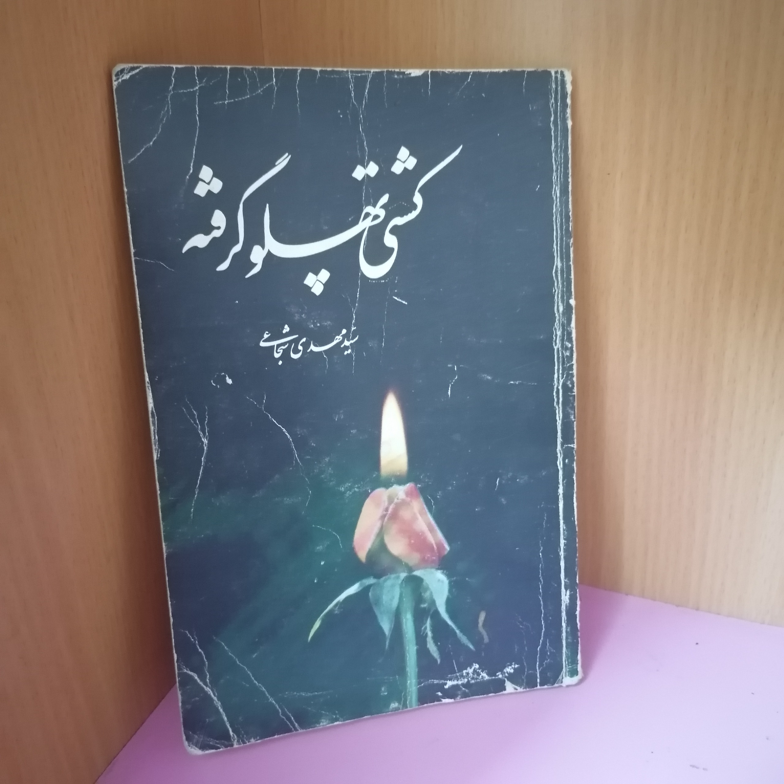 کتاب کشتی پهلو گرفته، ازسید مهدی شجاعی