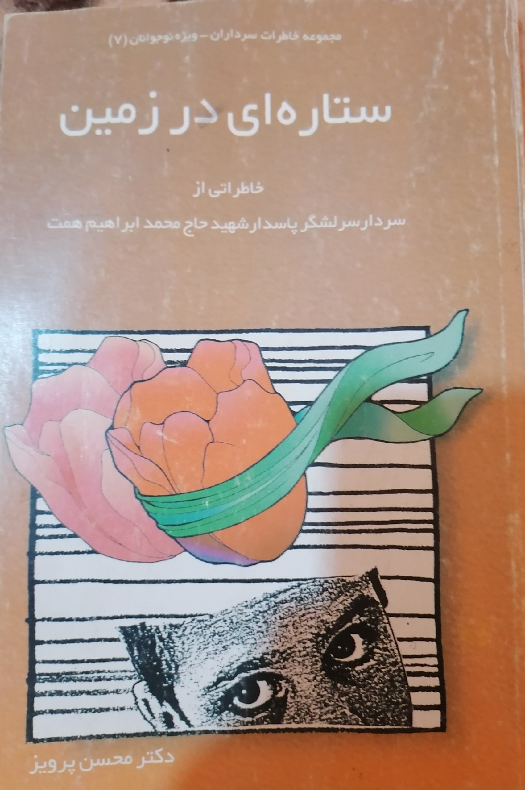 کتاب ستاره ای در زمین (شهید همت)