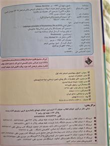 اصول