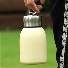 مینی