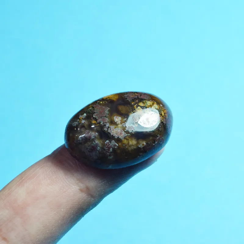 نگین شجر چند رنگ تک و نایاب تراش دست