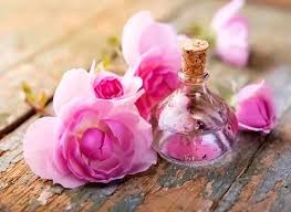 گلاب قمصر کاشان