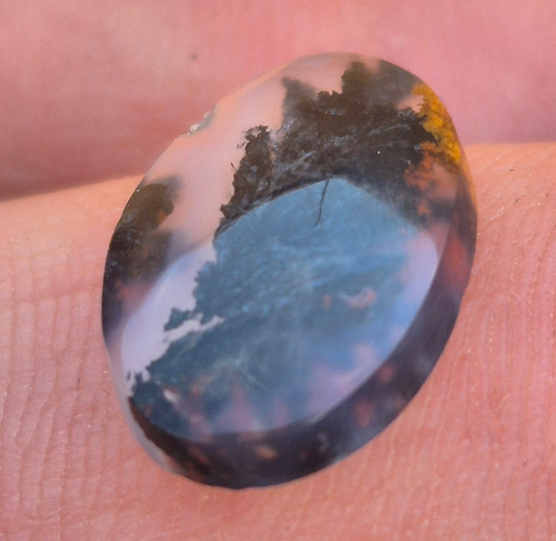 شجر مشکی سایز انگشتری