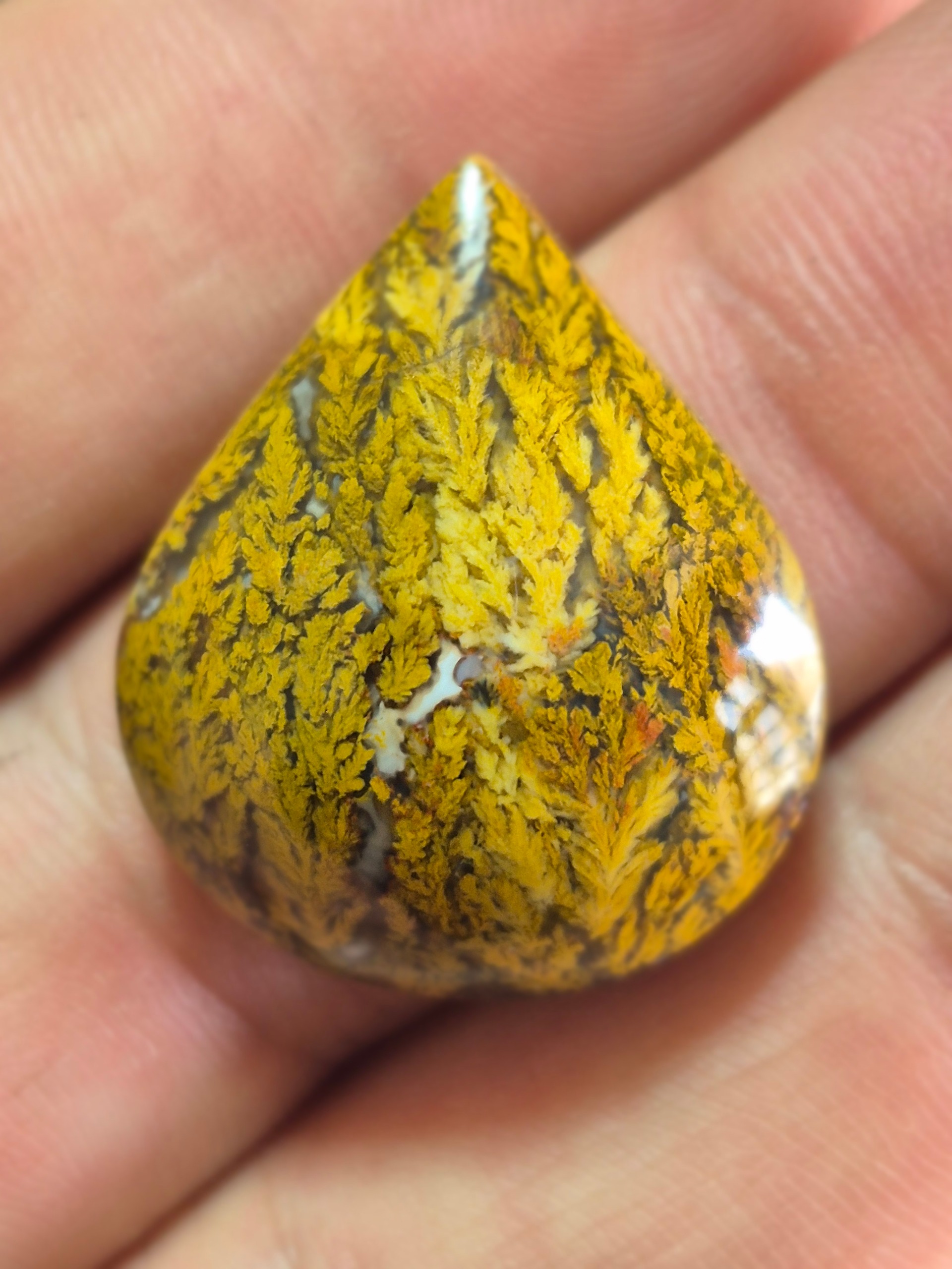 عقیق شجر پائیزه