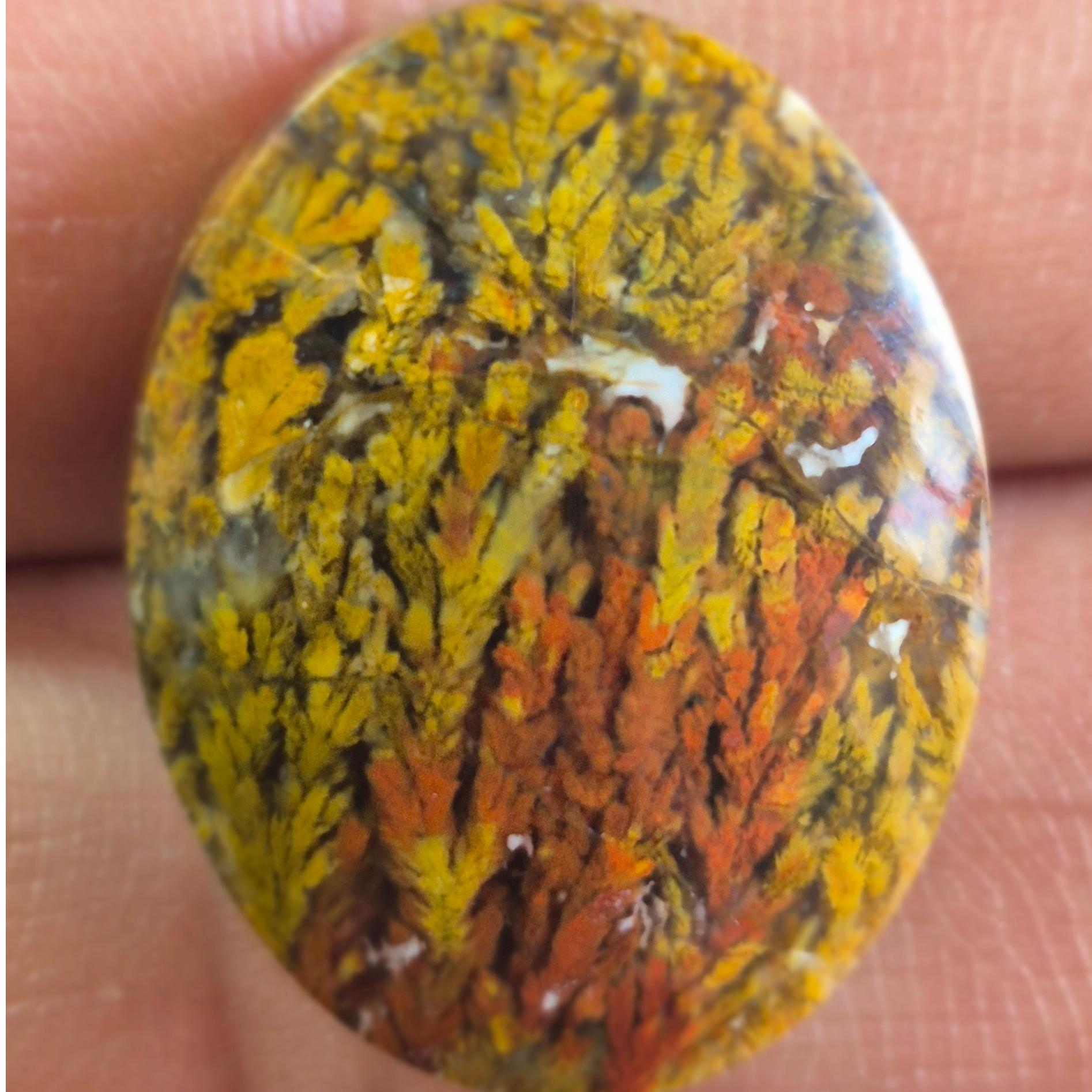 عقیق شجر پاییزه سایز مدالی