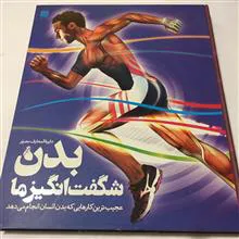 دایرة