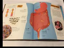 دایرة